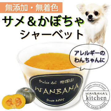 犬,アイス,用,わんこ,おやつ,クリーム,シャーベット,スイーツ,かぼちゃ,パンプキン,野菜,馬肉,冷凍,夏,冷たい,体