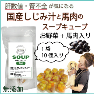 犬用,スープ,人気，肝臓，数値,高い,改善，しじみ，対策，ごはん，フード，,おすすめ,アレルギー,トッピング,ワンバナ,お買い得