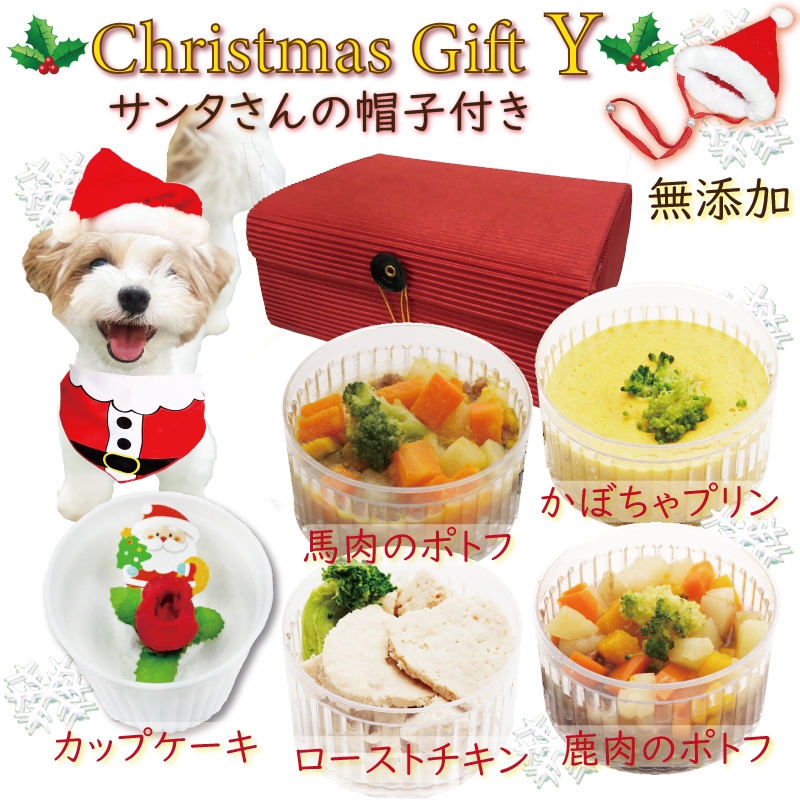 犬 ペット ドッグ ケーキ クリスマス Xmas