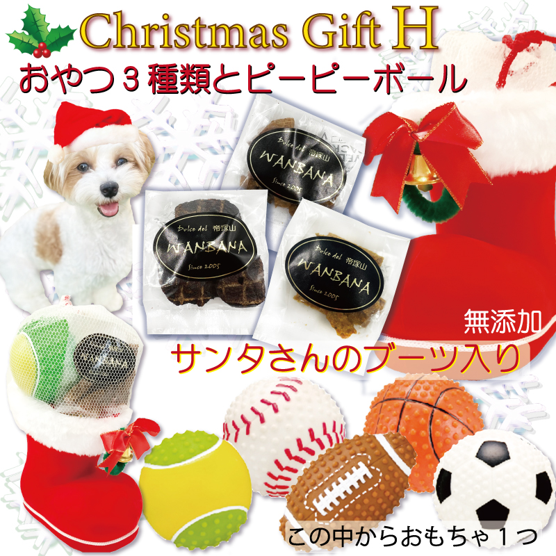 犬用 クリスマス Xmas ギフト おやつ ジャーキー サンタブーツ ピーピー 音が鳴る おもちゃ プレゼント 贈り物 おまけ 食べ切り 無添加 国産 手作り ごちそう ラッピング