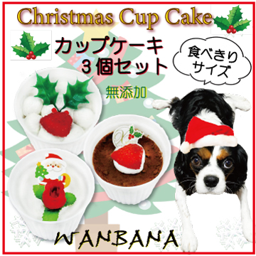犬用 クリスマス Xmas ギフト おやつ ジャーキー サンタブーツ ピーピー 音が鳴る おもちゃ プレゼント 贈り物 おまけ 食べ切り 無添加 国産 手作り ごちそう ラッピング