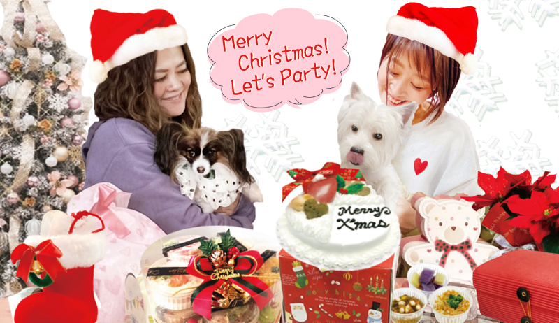 犬 ペット ドッグ ケーキ クリスマス Xmas  肉 低カロリー ダイエット お祝い イベント ギフトごはん フード 12月 冷凍 送料 通販 yahoo ワンバナ 