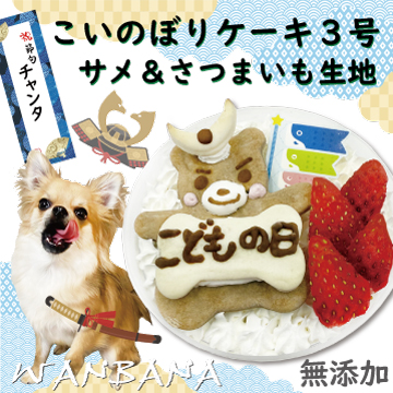 こどもの日 5月5日 端午の節句 鯉のぼり こいのぼり ちらし寿司 お寿司 男の子 オス メンズ 犬 わんちゃん ケーキ