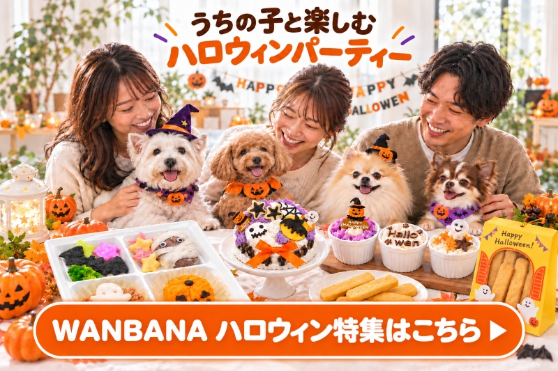 □すべての商品 | ペットフードやおやつ、サプリのお店 帝塚山WANBANA
