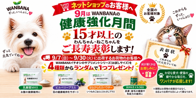 健康強化月間,ご長寿,長生き,シニア,老犬,健康,イベント,サプリメントワンバナ