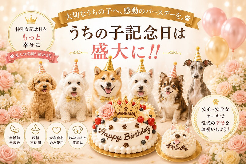 犬,ケーキ,お誕生日,バースデー,お祝い,無添加,ワンバナ