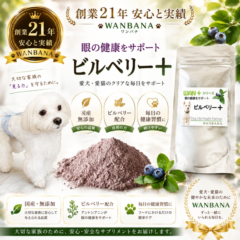 犬,ネコ,サプリメント,天然,安全,安心,無添加,目,眼,白内障,緑内障,核硬化症,抗酸化作用,眼病予防,涙やけ,pHコントロール,ストラバイト結晶,よだれ焼け,膀胱炎,健康相談,健康サポート,ワンバナ