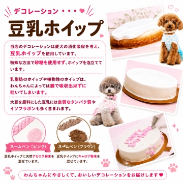 帝塚山WANBANA 犬用ケーキトゥルー ハート野菜馬肉4号12cmお昼までのご