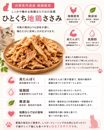 猫ケーキよくばりミニセット チキン・ささみセレクション カップケーキ