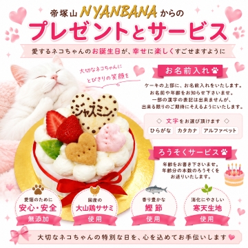 帝塚山WANBANA 猫用 ケーキ ラブリーモコ/名入れOK 3号サイズ ささみと