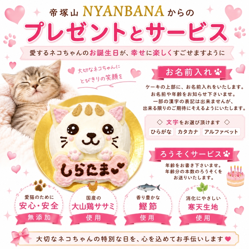 帝塚山WANBANA 猫用ケーキ プリティーにゃん/名前入れOK 3号サイズ