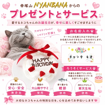 帝塚山WANBANA 猫用ケーキ ミニ リース/3号サイズ ササミと鰹節生地