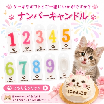 帝塚山WANBANA 猫用ケーキ ミニ リース/3号サイズ ササミと鰹節生地