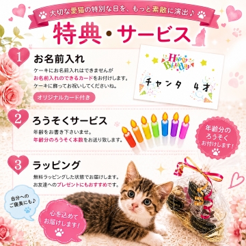 帝塚山WANBANA 猫用カップケーキ3種類セット お誕生日バースデーや