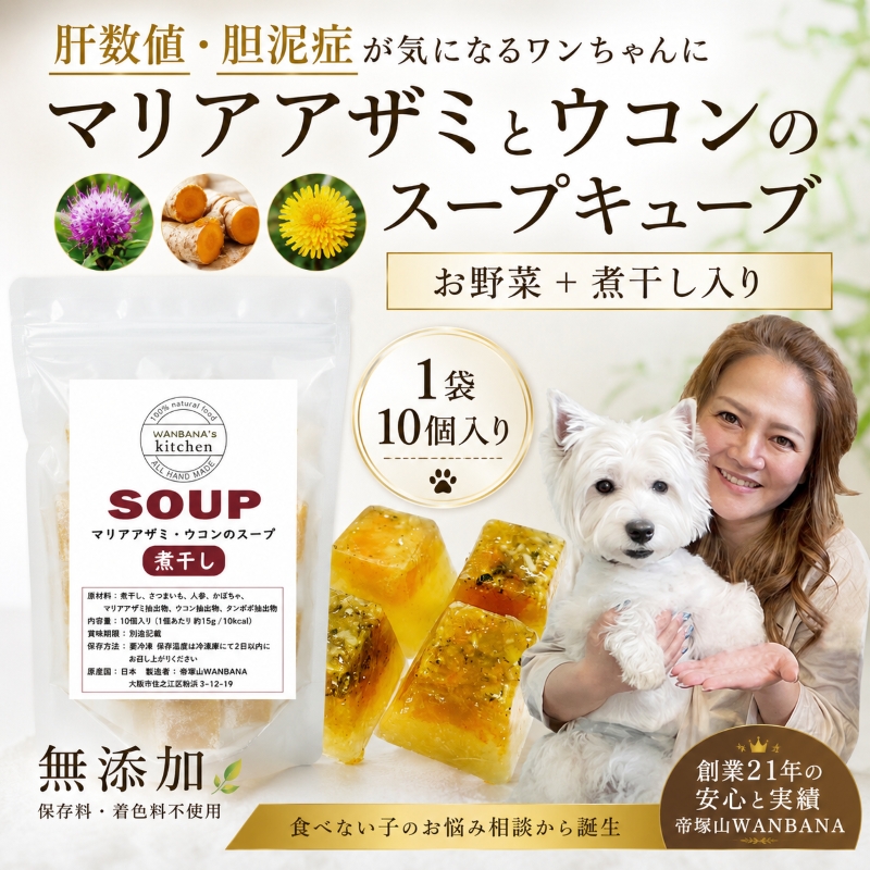 帝塚山WANBANA 犬用スープ 肝臓・胆泥ケアに！マリアアザミと煮干しの