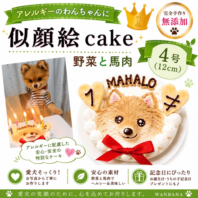 帝塚山WANBANA 犬用似顔絵ケーキ 立体に 1頭描きで野菜と馬肉生地 4号