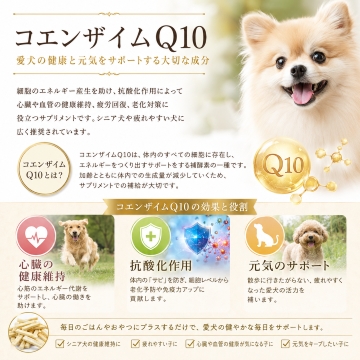 帝塚山WANBANA 犬 腎臓病おやつ コエンザイムQ10クッキー 腎ケアに