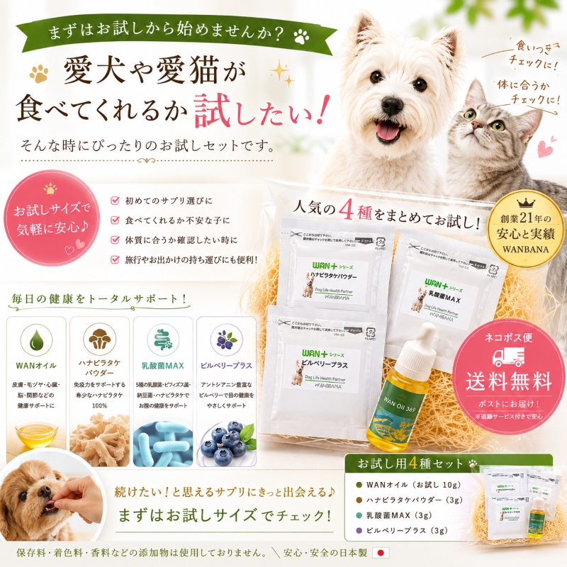 犬, 猫,サプリ,お試し,無添加,国産,乳酸菌,ハナビラタケ,ビルベリー,DHA EPA,オイル,腸活,免疫,目の健康,毛並み,シニア犬,シニア猫,健康維持,ネコポス,送料無料,帝塚山WANBANA