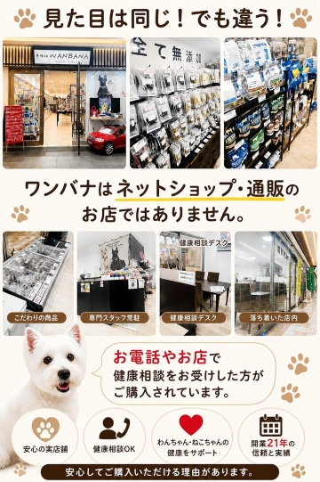 帝塚山WANBANA 犬用スープ 肝臓・胆泥ケアに！マリアアザミと煮干しの
