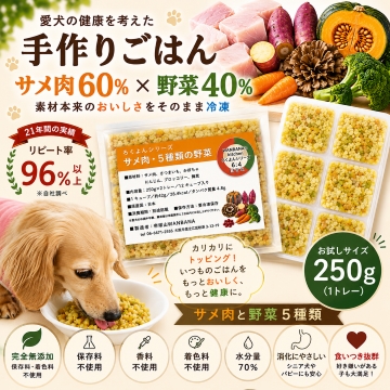 馬肉,トッピング,ドッグフード,手作り食,ペトコト,このこのごはん,カナガン,モグワン,ニュートロ,人気,話題,美味しい,無添加,グレインフリー,アレルギー,低カロリー,便利,かけるだけ,手間いらず,ワンバナ,ヒューマングレード,エサ,缶詰,療養食,腎不全,ダイエット,肥満,痩せる