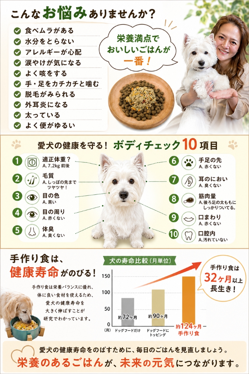 ろくよん,ドッグフード,トッピング,手作り食,ごはん,無添加,グレインフリー,国産,低カロリー,よく食べる,涙やけ,人気,話題
