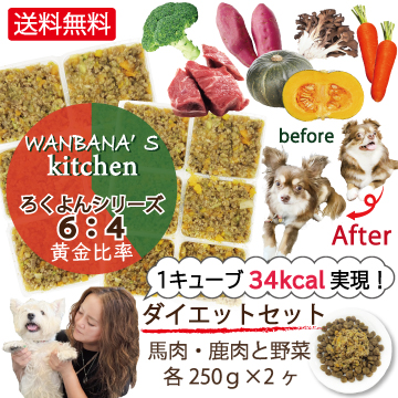 お試し価格/あすつく犬猫用手作りごはん/馬と鹿肉6×野菜4大人気ろくよん！包丁いらずレンチンOK！〓タンパク低カロリー  ダイエットに肥満に無添加毎日ごちそう : 64-diet2set-try : 犬猫用ケーキおやつ帝塚山ワンバナ - 通販 - Yahoo!ショッピング