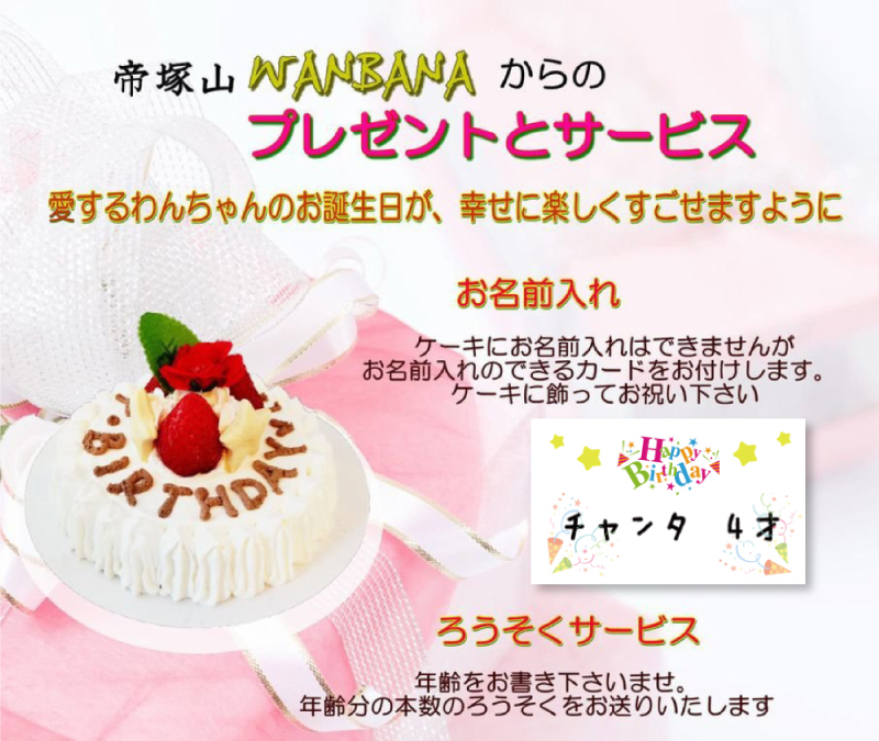 超ポイント祭 期間限定 犬用のミニ ケーキ スターツリー ３号 サイズ馬肉 誕生日 無添加 プレゼント アレルギー 人気 即日 帝塚山wanbana ワンバナ Aynaelda Com