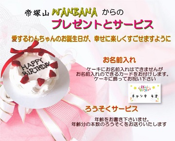 犬,ケーキ,やさしい,無添加,野菜,ささみ,馬肉,ワンバナ,,ＷＡＮＢＡＮＡ
