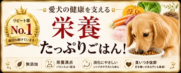 犬,トッピング,手作り,ごはん,ウエットフード,ドッグフード,ココグルメ,ペトコト,この子のごはん,ロイヤルカナン,ニュートロ,モグワン,グレインフリー,国産,えさ,食事,ご飯,ドライ,ろくよん,馬肉,鹿肉,いわし,サメ,野菜,食いつき,喜ぶ,便利,人気,簡単,ヒューマングレード,ワンバナ