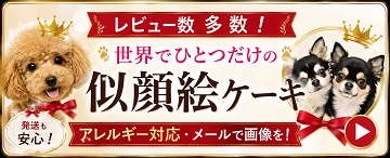 犬用の似顔絵ケーキ,世界でひとつだけの可愛いＣａｋｅ、無添加、ヘルシーで低カロリーＷＡＮＢＡＮＡワンバナ全国通販！