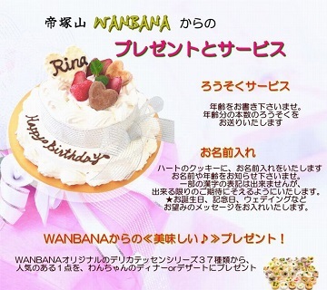 犬,ケーキ,ホール,2段,丸型,かわいい,消化,豪華,ウェディング,お祝い,無添加,野菜,馬肉,アレルギー,ワンバナ,ヘルシー,WANBANA