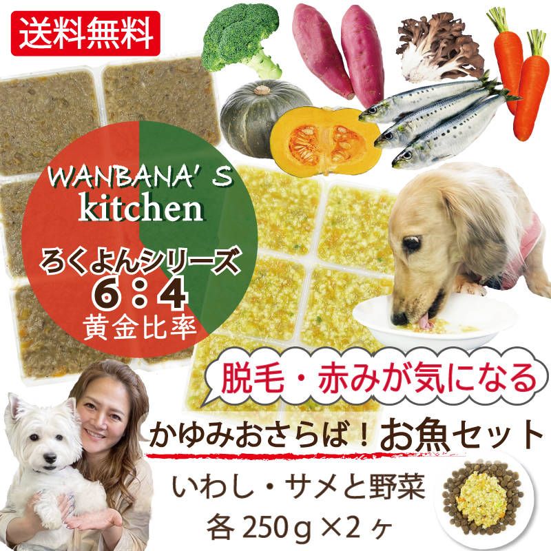 鮫,サメ,いわし,イワシ,鰯,トッピング,ドッグフード,手作り食,ペトコト,このこのごはん,カナガン,モグワン,ニュートロ,人気,話題,美味しい,無添加,グレインフリー,アレルギー,低カロリー,便利,かけるだけ,手間いらず,ワンバナ,ヒューマングレード,エサ,缶詰,療養食,腎不全,ダイエット,肥満,痩せる