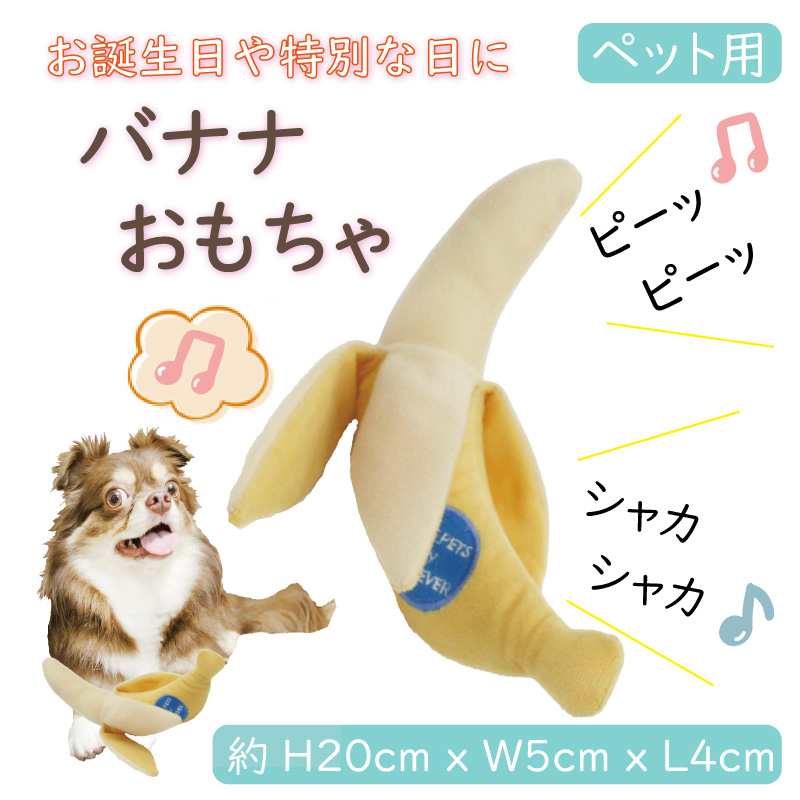 51tp7fi+cEL._AC_UF350,