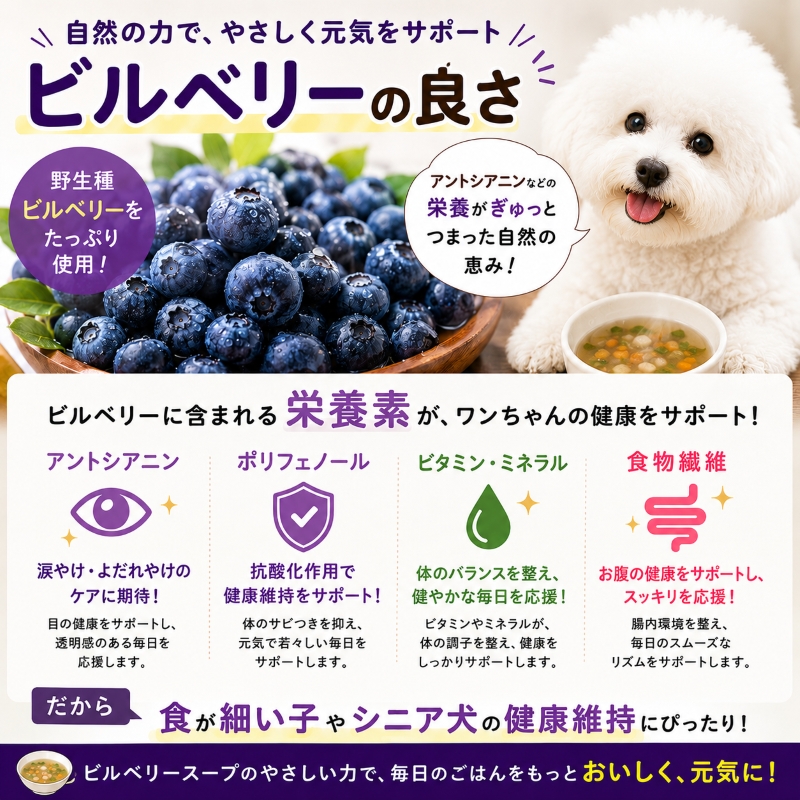 犬用,スープ,ビルベリー,ジュレ,目,眼病予防,寒天,熱中症,食欲,アレルギー,トッピング,WANBANA,お買い得