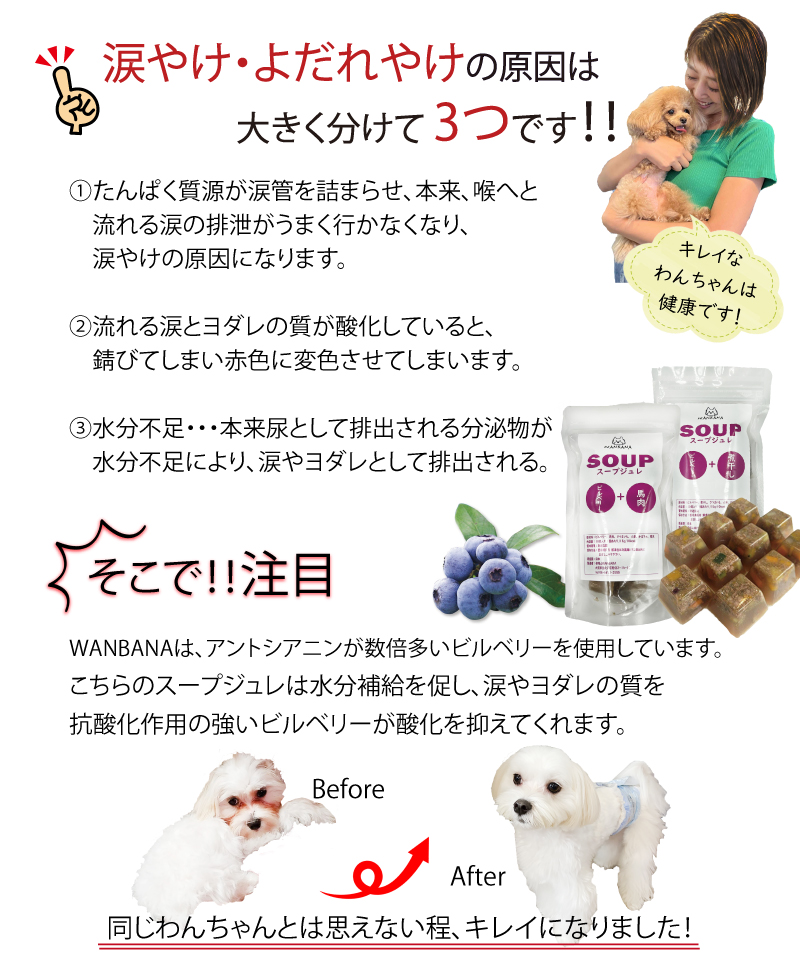 犬用,スープ,ビルベリー,ジュレ,目,眼病予防,おすすめ,アレルギー,トッピング,ワンバナ,お買い得