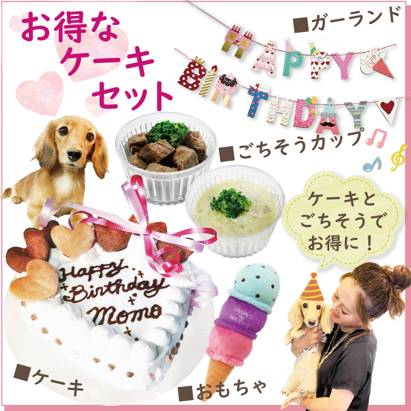 帝塚山WANBANA 犬用 ケーキ 豪華バースデーパーティーセット