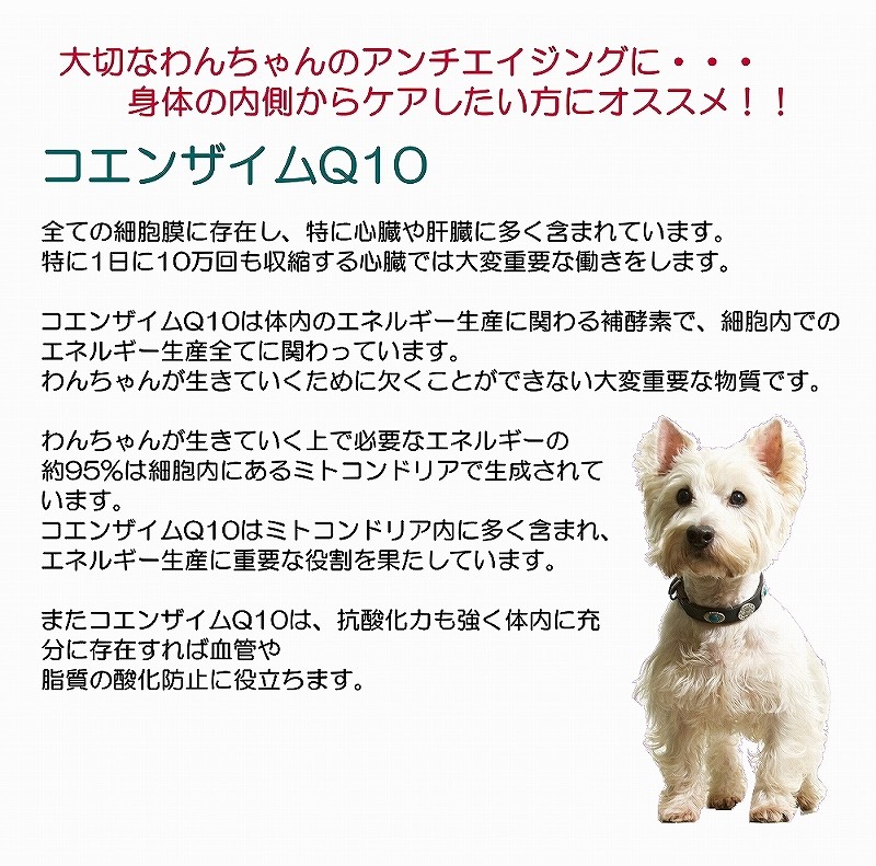 犬,離乳食,療養食,ペースト,手作り食,デリカテッセン,コエンザイムQ10,サプリ,老化,シニア,パピー,老犬,無添加わんちゃんおやつ，手作り食のWANBANAの人気商品