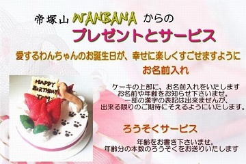 犬,ケーキ,ホール,プードル,丸型,かわいい,消化,無添加,野菜,馬肉,鶏肉,ささみ,ワンバナ,ヘルシー,WANBANA