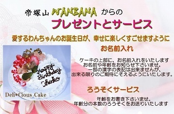 犬,ケーキ,リボン,ホール,丸型,かわいい,消化,無添加,野菜,馬肉,ワンバナ,ヘルシー,WANBANA