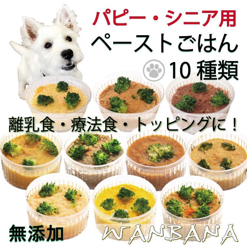 無添加 犬用手作りごはん 10袋セット 帝塚山WANBANA 犬用のごはん ドッグフード 離乳食 介護食 ペースト 状