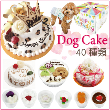 犬猫用ケーキおやつ帝塚山ワンバナ 犬用ケーキ ドッグcake ペット用ケーキ Yahoo ショッピング