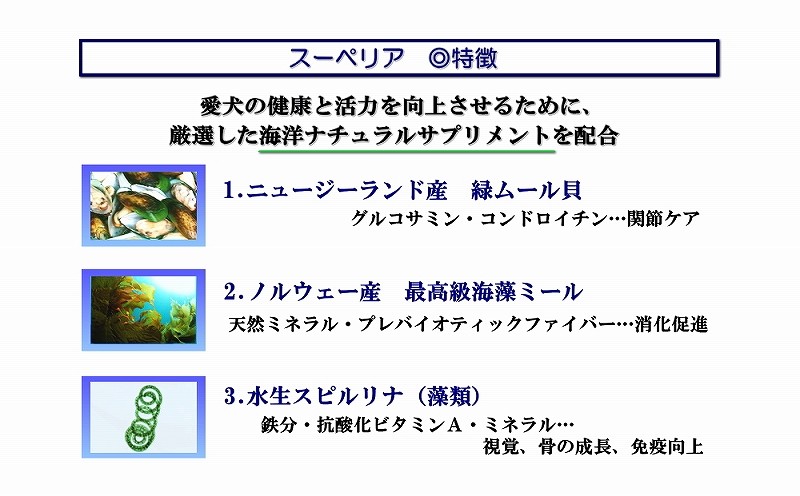ドッグフード,フィッシュ４,魚,サーモン,アレルギー,無添加,プレミアムフード,成犬,シニア,老犬,低GI値,ダイエット,血糖値,糖尿病,食いつき,穀物不使用,イギリス産,小型犬,中型犬,大型犬,オメガ,送料無料,お試し,ワンバナ