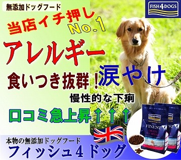 犬猫用ケーキおやつ帝塚山ワンバナ ファイネスト ドッグフード 無添加 Fish4dogs フィッシュフォードッグス Yahoo ショッピング