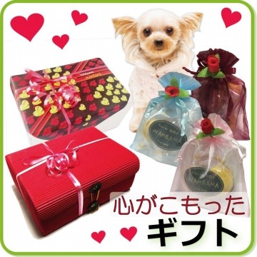 犬猫用ケーキおやつ帝塚山ワンバナ 誕生日プレゼント ギフト あすつく Yahoo ショッピング