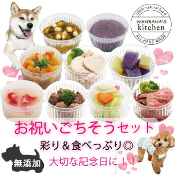 帝塚山WANBANA 犬の 手作りごはん お祝い ごちそう セット 9種類