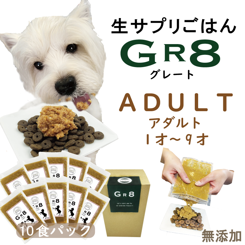 生サプリメントごはんGR8〜グレート〜パピー・地鶏肉 10袋セット 4カ月〜1才まで パピーに大切な栄養をお手軽に 無料 健康相談付き ペット用品 健康  :g-pappy-chikin:犬猫用ケーキおやつ帝塚山ワンバナ - 通販 - Yahoo!ショッピング