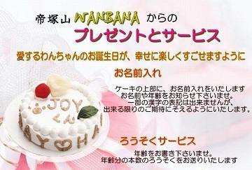 犬,ケーキ,やさしい,無添加,野菜,ささみ,馬肉,ワンバナ,,WANBANA