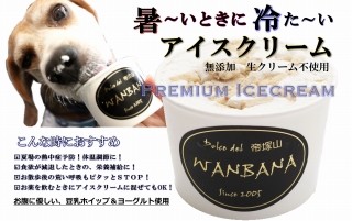 犬,アイスクリーム,熱中症,対策,ミニ,無添加,おやつ,馬肉,ワンバナ,WANBANA