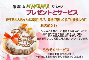 犬,ケーキ,リボン,ハート,かわいい,やさしい,無添加,野菜,ささみ,馬肉,ワンバナ,ヘルシー,WANBANA
