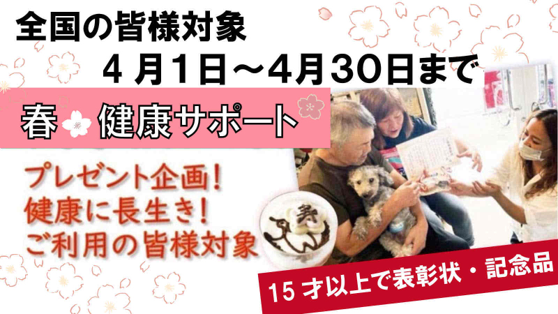 犬,トッピング,手作り食